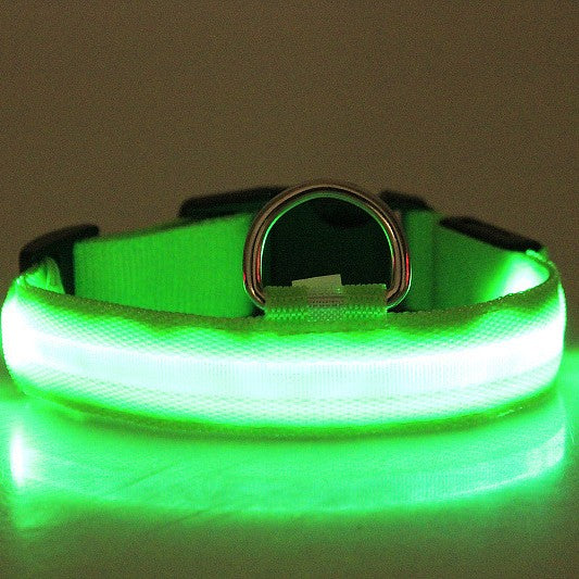 Paw Haven LED Night Safety Dog Collar – USB Rechargeable, 8 Colors, Sizes XS–XL