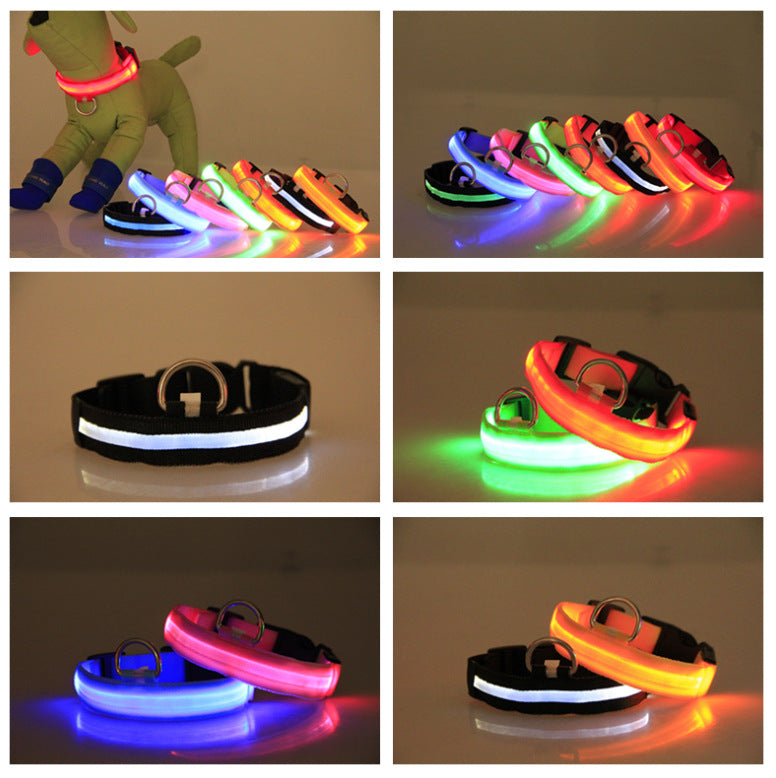 Paw Haven LED Night Safety Dog Collar – USB Rechargeable, 8 Colors, Sizes XS–XL