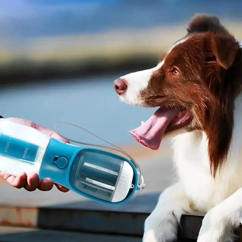 Paw Haven 3-in-1 Portable Pet Water Bottle – 300ml Water, Food & Waste Bag Dispenser