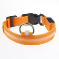 Paw Haven LED Night Safety Dog Collar – USB Rechargeable, 8 Colors, Sizes XS–XL
