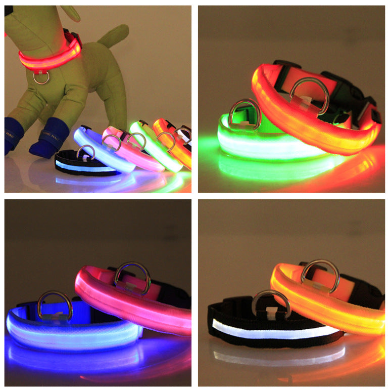 Paw Haven LED Night Safety Dog Collar – USB Rechargeable, 8 Colors, Sizes XS–XL