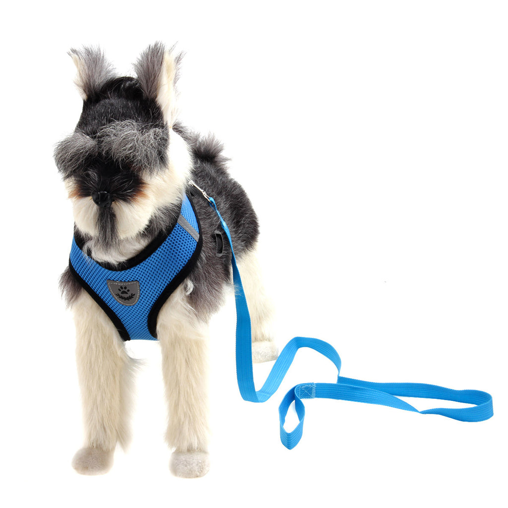 Paw Haven Fashion Mesh Dog Harness – Breathable, No-Pull, Sizes S–XL