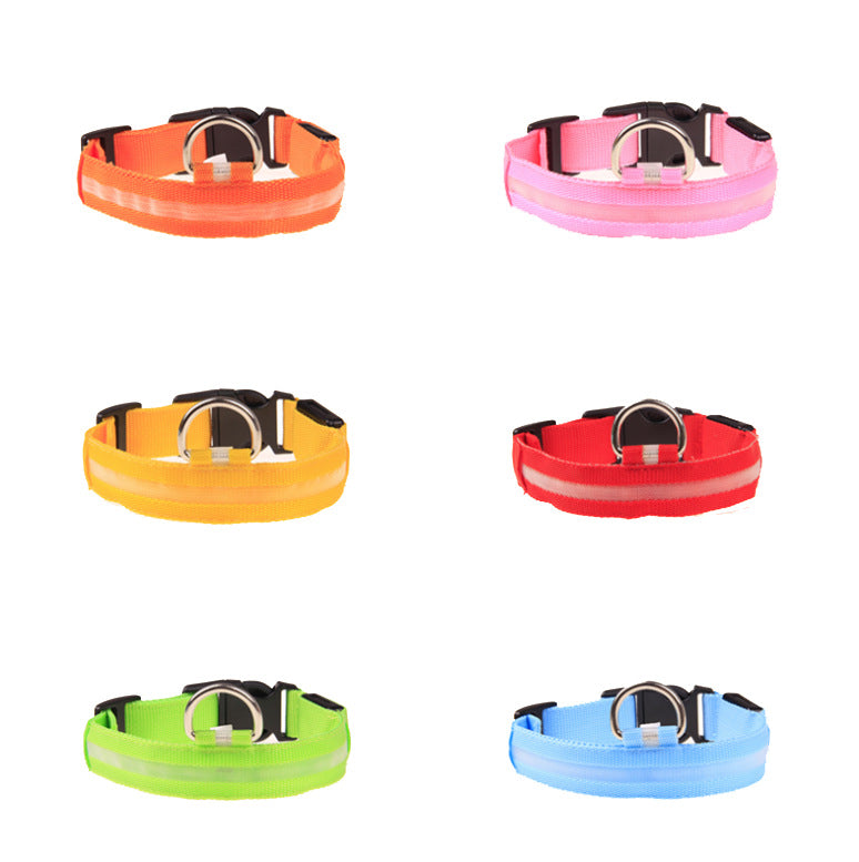 Paw Haven LED Night Safety Dog Collar – USB Rechargeable, 8 Colors, Sizes XS–XL