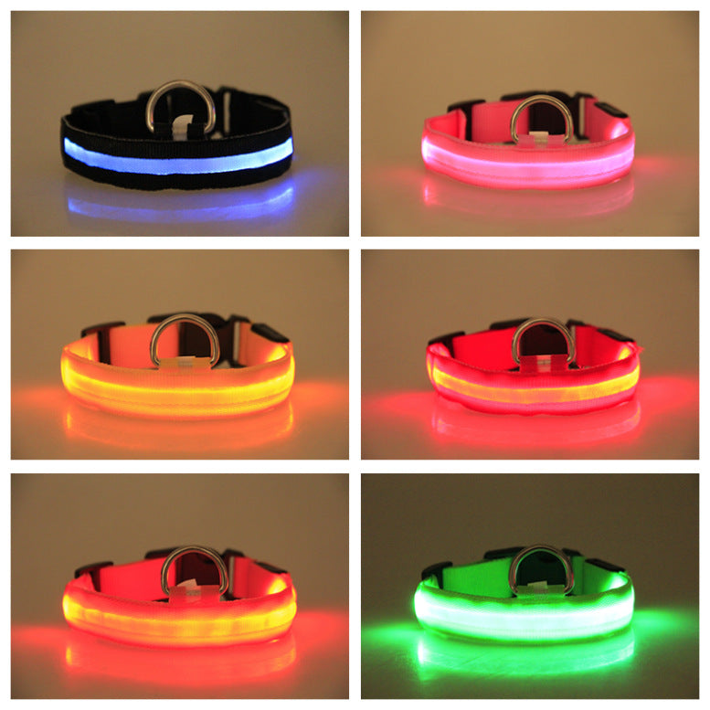 Paw Haven LED Night Safety Dog Collar – USB Rechargeable, 8 Colors, Sizes XS–XL