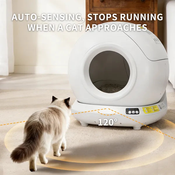 Paw Haven 78L Smart Self-Cleaning Cat Litter Box – App Control, Fully Enclosed, Multi-Cat